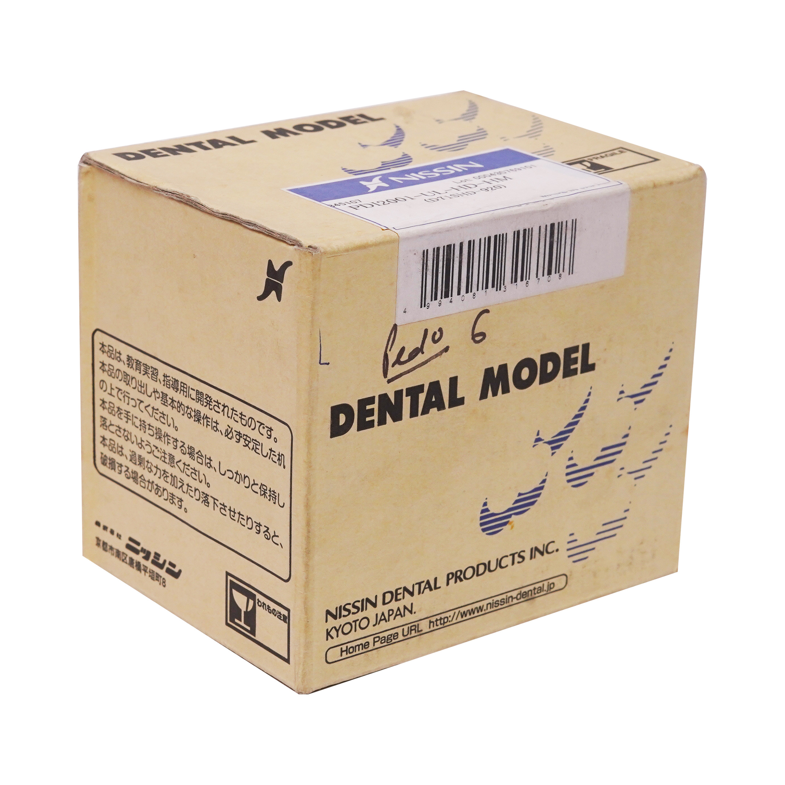 Nirmala Dental Dental Model